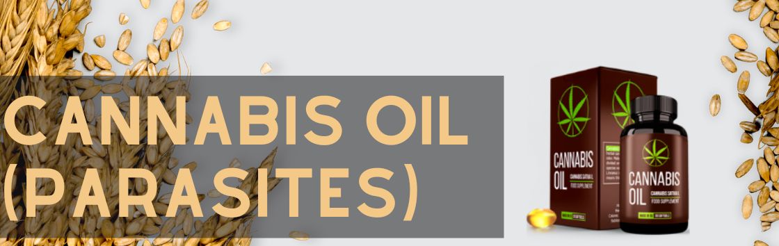 Cannabis Oil (Parasites)  - Ανακαλύψτε διαφορετικές επιλογές για τη χρήση πετρελαίου κάνναβης για παράσιτα και ενδεχομένως ανακουφίστε τα συμπτώματα παρασιτικών λοιμώξεων.